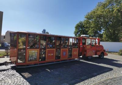 Img 20230920 143001