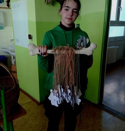 Img 20241022 152505350