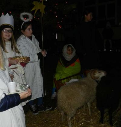 Rozsveceni Stromu 3