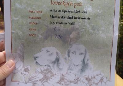 Lesnipedagogika11