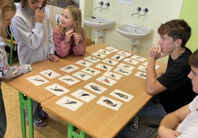 Podzim pod mikroskopem