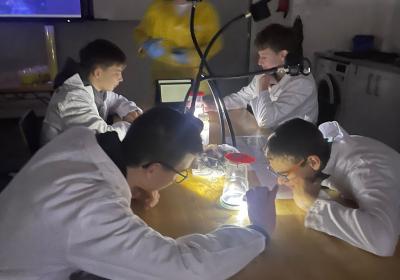 Photo 2025 11 20 22 27 571