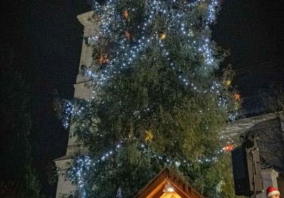 Messenger Creation 7a77324c 0839 4d0b 8e2b B25bdc97e6cb