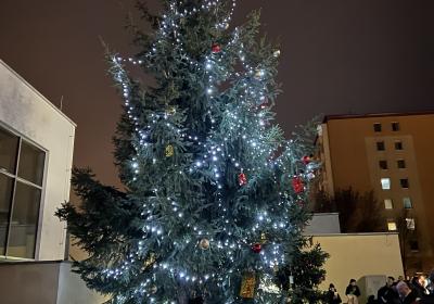 U školy už také svítí stromeček