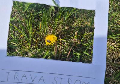 Photo 2026 05 21 11 26 16