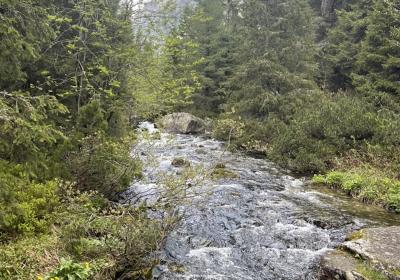 Tatry11