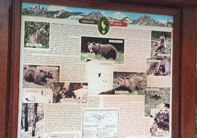 Tatry135