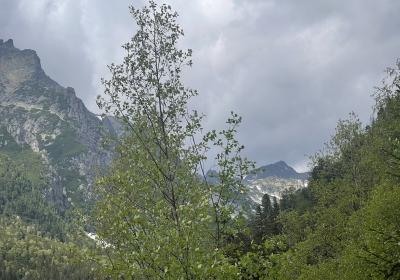 Tatry17