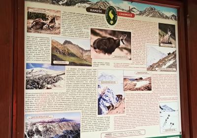 Tatry80